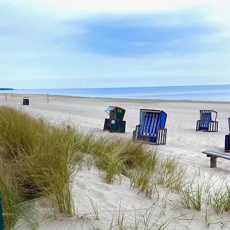 Wald Und Verbinden, Charmante Finnhuette Direkt An Der Ostsee - Oskar Trassenheide